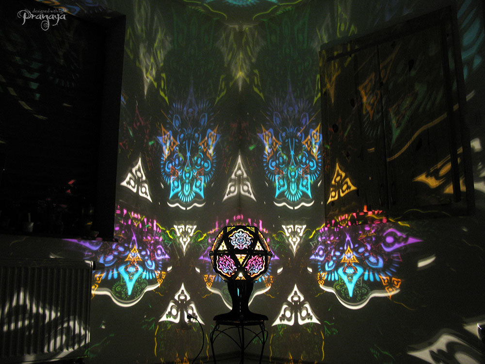 Winter Bloom Shadow Lamp